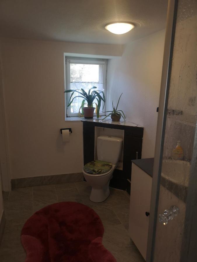 Ferienhaus Salmtal Himmerod Großlittgen Extérieur photo