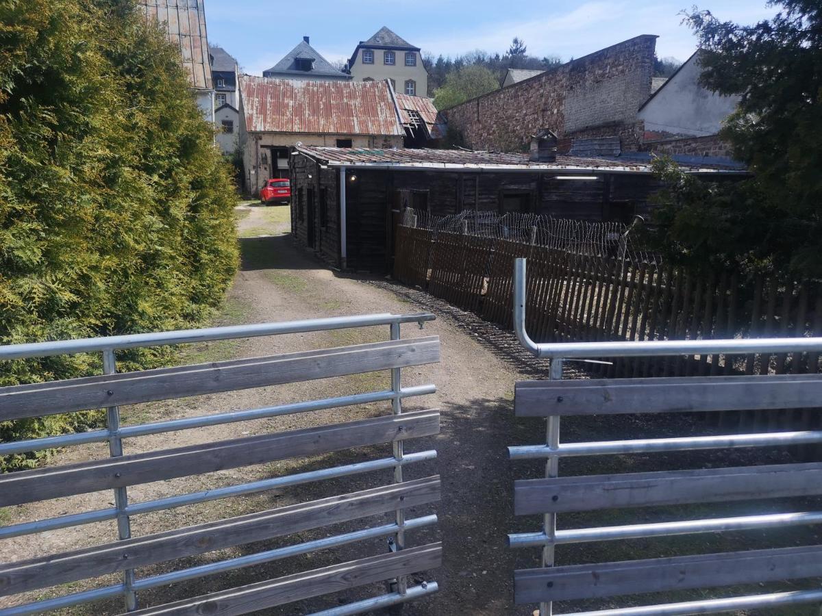 Ferienhaus Salmtal Himmerod Großlittgen Extérieur photo