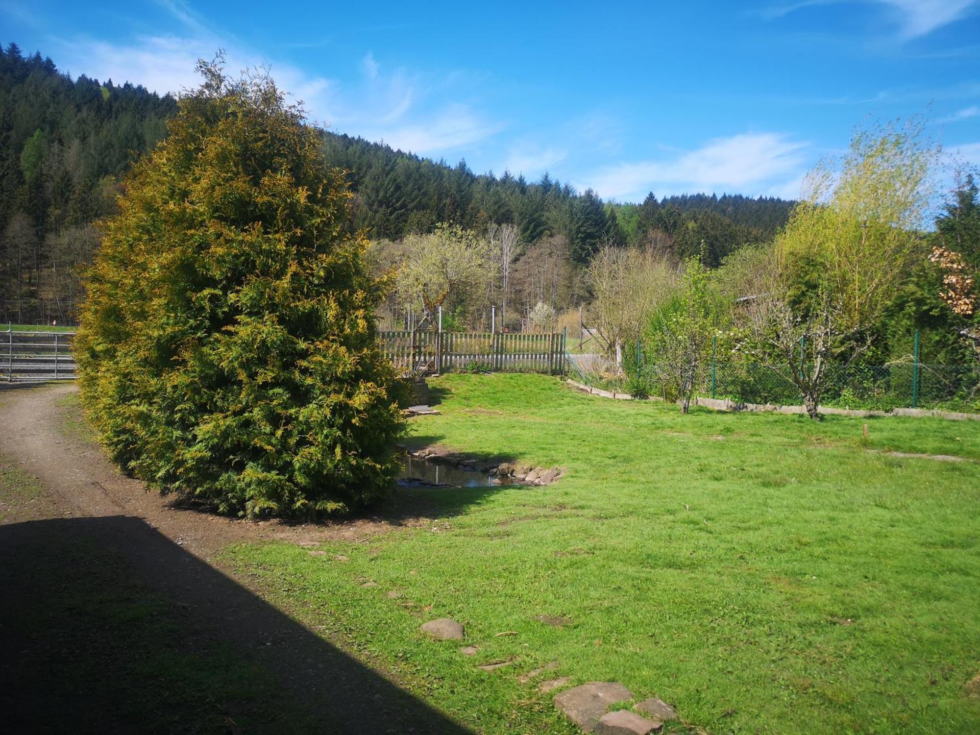 Ferienhaus Salmtal Himmerod Großlittgen Extérieur photo