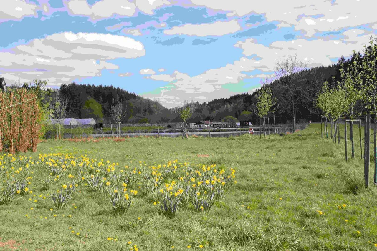Ferienhaus Salmtal Himmerod Großlittgen Extérieur photo
