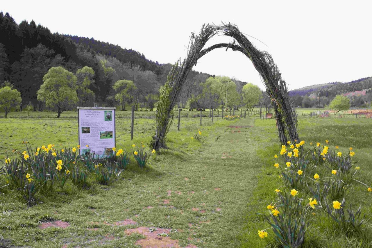 Ferienhaus Salmtal Himmerod Großlittgen Extérieur photo